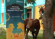 Lewat Pendanaan Kolektif Karyawan, Telkomsel Salurkan Ratusan Hewan Kurban Lintas Provinsi