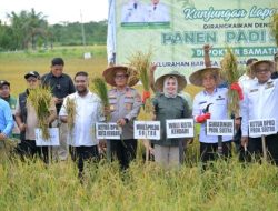Wali Kota Kendari Dampingi Gubernur Sultra Panen Padi Sawah di Baruga
