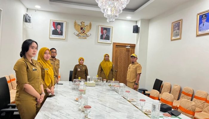 TPID Kota Kendari Ikuti Rakor Pengendalian Inflasi dan Sosialisasi Produk Halal Kemendagri