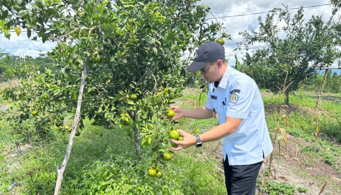 Pelantikan 15 Juni, Tani Merdeka Kendari Gandeng Dinas Pertanian & Turun ke Kelompok Tani