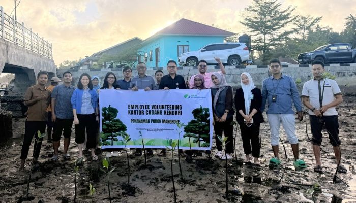 Employee Volunteering Go Green BPJS Ketenagakerjaan Sultra, Tanam Mangrove di Pesisir Bungkutoko Kendari