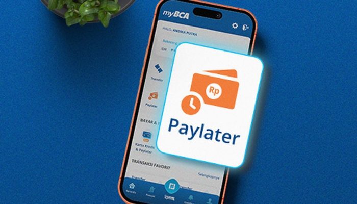OJK Catat Lonjakan Pembiayaan Pay Later Perbankan hingga 37,29 Persen