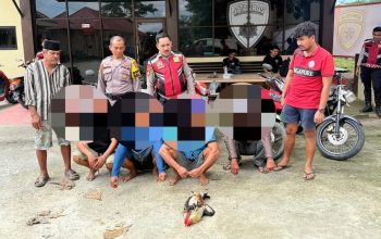 Operasi Pekat Anoa 2026, Ditsamapta Polda Sultra Bongkar Arena Sabung Ayam di Mandonga