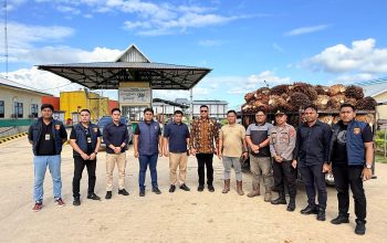 Ditreskrimsus Polda Sultra Dampingi Pengawasan Harga TBS Sawit, Pastikan Perusahaan Patuhi Harga Acuan Pemerintah