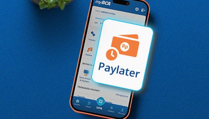 Tren ‘Pay Later’ Makin Diminati, OJK Catat Pembiayaan Capai Rp30,1 Triliun