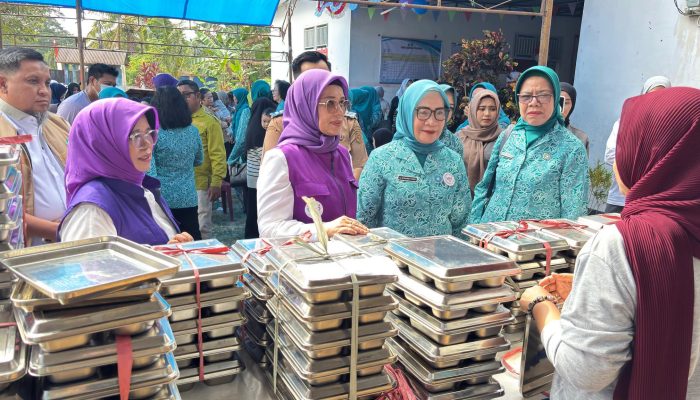 Ketua TP-PKK Sultra Kunjungi Koltim, Tinjau Pelayanan Posyandu dan Penyaluran MBG