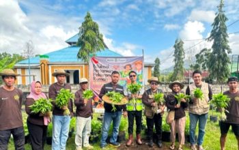 PT. ANTAM Dampingi Warga Konawe Utara, Program Mandiri Pangan Sukses Panen Perdana