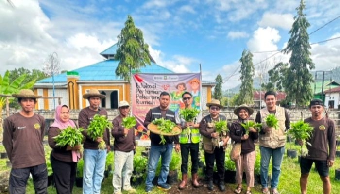 PT. ANTAM Dampingi Warga Konawe Utara, Program Mandiri Pangan Sukses Panen Perdana