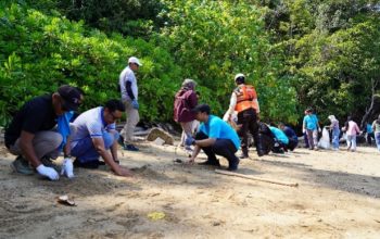 Merawat Pesisir, Menjaga Masa Depan: Kolaborasi PT Vale Kuatkan Ketahanan Ekosistem Luwu Timur