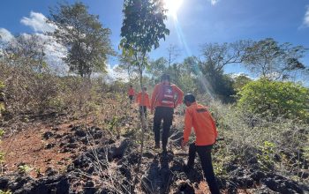 Hari Ketujuh Tanpa Jejak, Basarnas Tutup Operasi SAR Pencarian Warga Hilang di Hutan USN