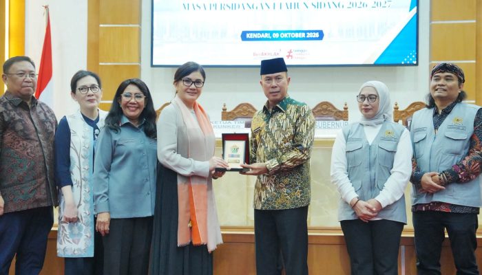 Gubernur Sultra Bahas Kesehatan dan Ketenagakerjaan Bersama Komisi IX DPR RI, Ambulans Udara Diusulkan untuk 2027